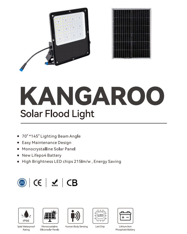 20w solar flood light